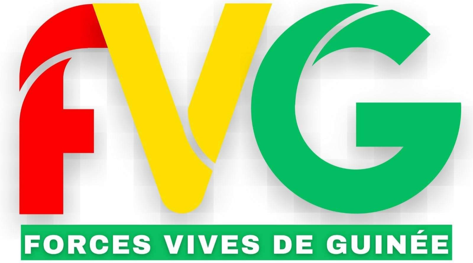 Guinée : le Forces Vives rejettent l'avant-projet de la nouvelle constitution 