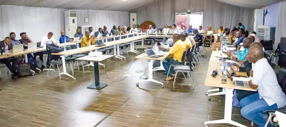 Médicament en Guinée : une concertation nationale pour lever les obstacles du secteur pharmaceutique